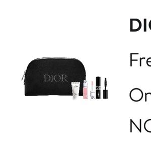Dior cosmetic bag
